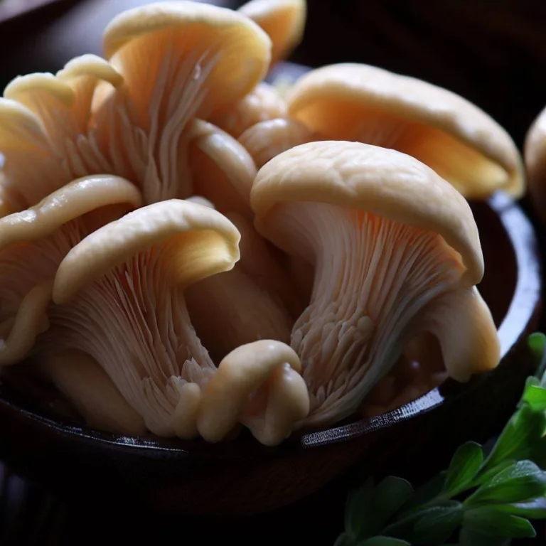 Rețete cu ciuperci Pleurotus: Descoperă deliciile culinare ale acestei varietăți de ciuperci